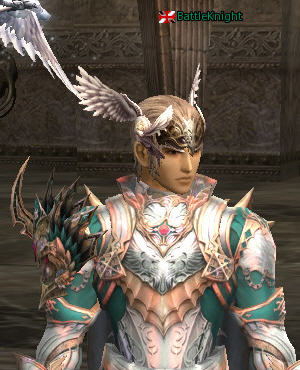 BattleKnight